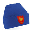 Load image into Gallery viewer, Kids France French Vintage Retro Embroidered Rugby Football Beanie Hat
