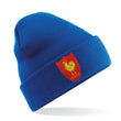 Load image into Gallery viewer, Adult Unisex France French Vintage Retro Embroidered Rugby Football Beanie Hat