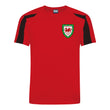Load image into Gallery viewer, Adults Wales CYMRU Retro Football kit Shirt Shorts & Personalisation - Red Black