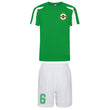 Load image into Gallery viewer, Adults Northern Ireland Eire Retro Football Kit Shirt Shorts & Free Personalisation - Green