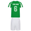 Load image into Gallery viewer, Adults Northern Ireland Eire Retro Football Kit Shirt Shorts & Free Personalisation - Green