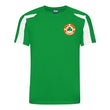 Load image into Gallery viewer, Adults Republic of Ireland Eire Retro Football Shirt with Free Personalisation - Green