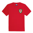 Load image into Gallery viewer, Kids Customisable Wales CMYRU Football Kit Shirt, Shorts, Socks and Personalised Bag Away