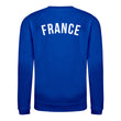 Load image into Gallery viewer, Kids Retro France Les Bleus Embroidered Football Fan Sweatshirt Long Sleeve - Royal