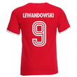 Load image into Gallery viewer, Adults Poland Polska Embroidered Retro Football T-Shirt with Free Personalisation.
