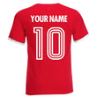 Load image into Gallery viewer, Adults Wales Welsh Cymru Embroidered Retro Football T-Shirt Back