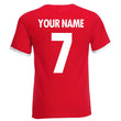 Load image into Gallery viewer, Adults CCCP Russia Soviet Union Embroidered Retro Football T-Shirt Back