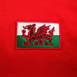 Load image into Gallery viewer, Adults Wales Welsh Cymru Embroidered Retro Football T-Shirt Badge