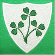 Load image into Gallery viewer, Kids Ireland EIRE Rugby Retro Style Zipped Hooded Sweatshirt