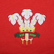 Load image into Gallery viewer, Unisex Wales CYMRU Rugby Classic Tipped Polo Shirt