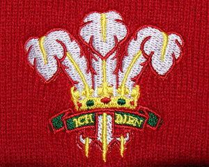 Kids Wales CYMRU Rugby Vintage Retro Cuffed Beanie Hat