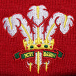 Load image into Gallery viewer, Unisex Wales CYMRU Rugby Vintage Retro Cuffed Beanie Hat