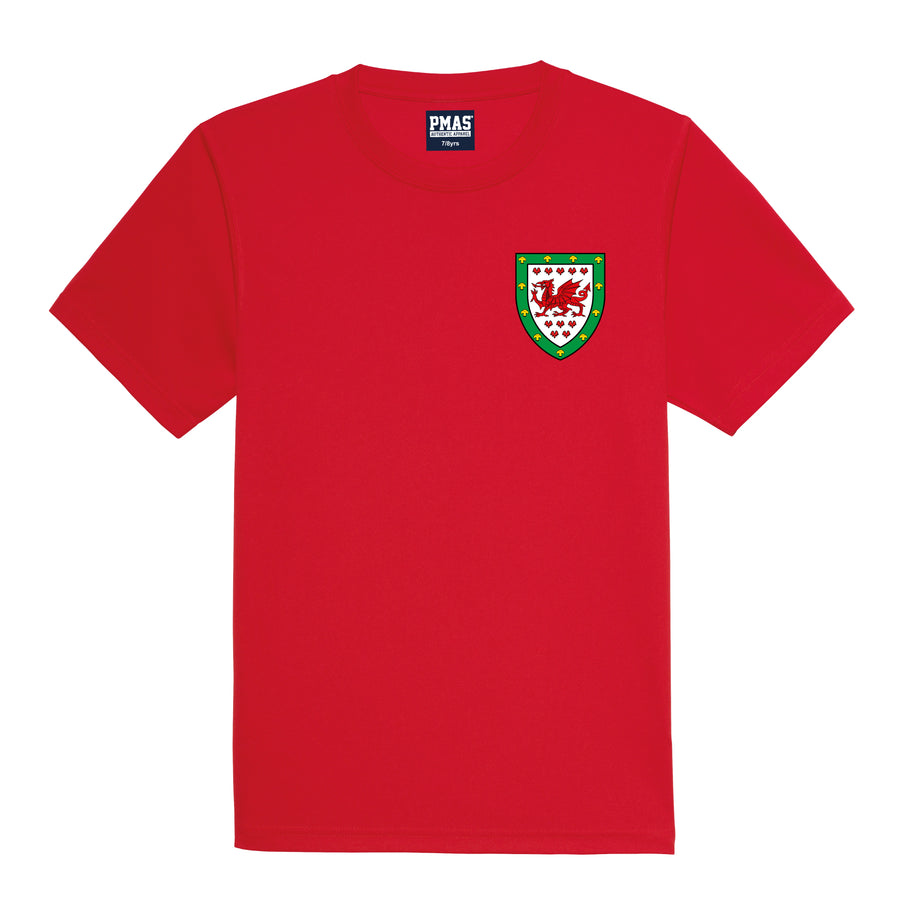 Kids Customisable Wales CMYRU Football Kit Shirt, Shorts, Socks and Personalised Bag Away