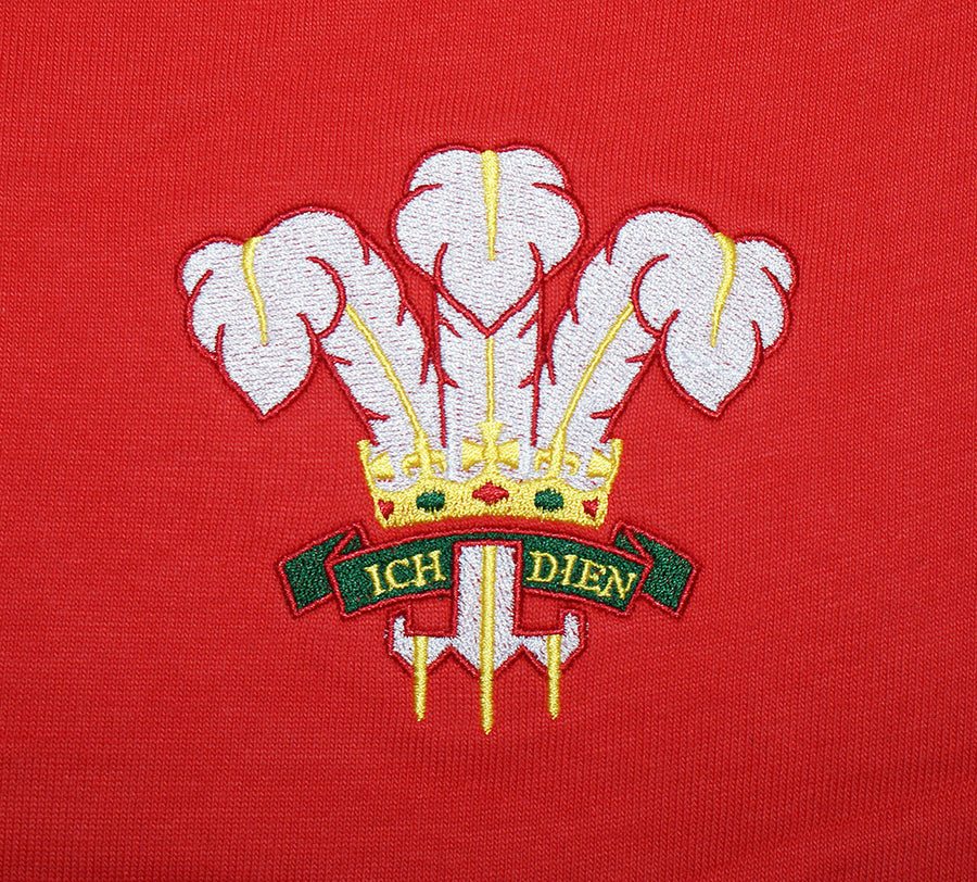Wales Welsh Vintage Retro Embroidered Rugby Football Sport Hoodie in Adult & Kids Sizes in Red Badge